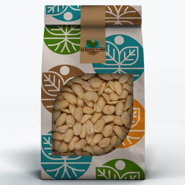 Arachidi Crude Non Salate Bio sfuse 100 g